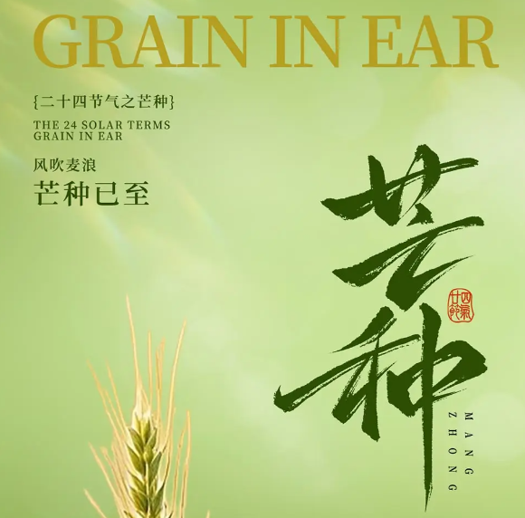 2c9448ce-00bd-47c2-8016-472cae7d8985.png